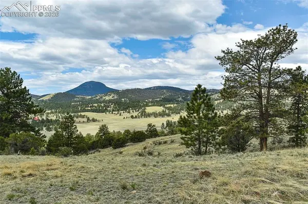 422 Buck DR, Guffey, CO 80820