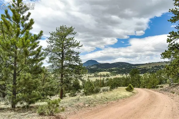 422 Buck DR, Guffey, CO 80820