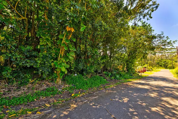 KUMU ST, Pahoa, HI 96778