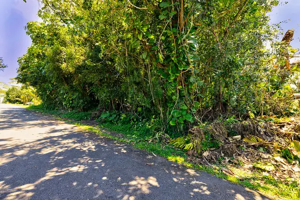 KUMU ST, Pahoa, HI 96778