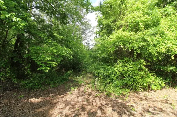 2 Mott Road, Plain Dealing, LA 71064