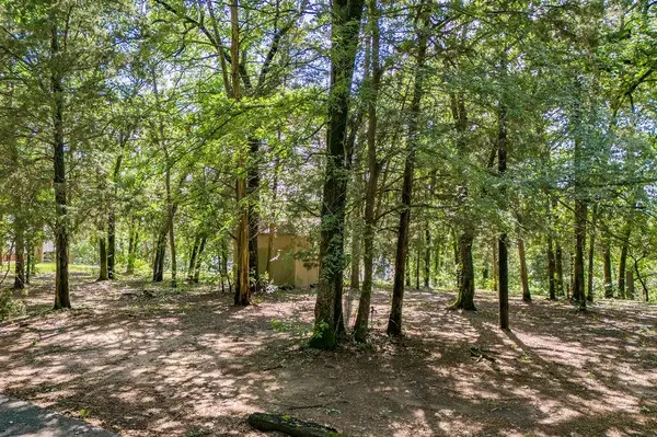 784 Camp Cypress Trail, Winnsboro, TX 75494