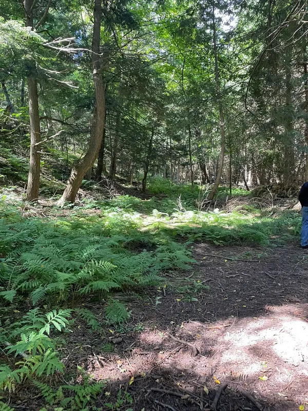 1922 Concession 4 RD, Adjala-tosorontio, ON L0G 1L0