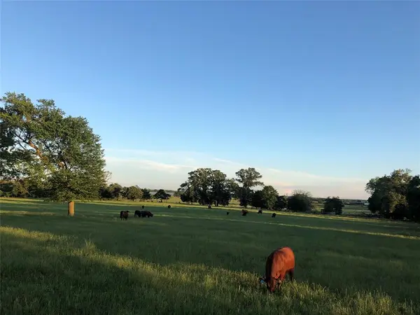 3739 W Fm 515, Como, TX 75431