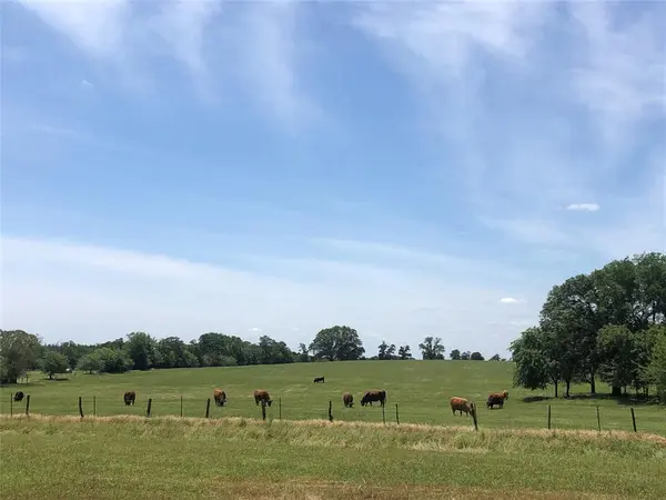 3739 W Fm 515, Como, TX 75431