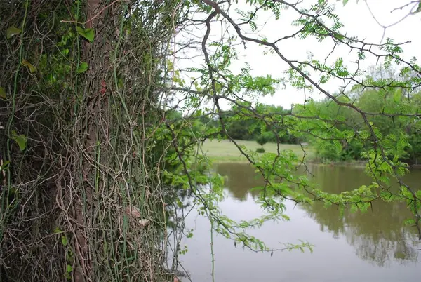 232 Terry Lane, Heath, TX 75032