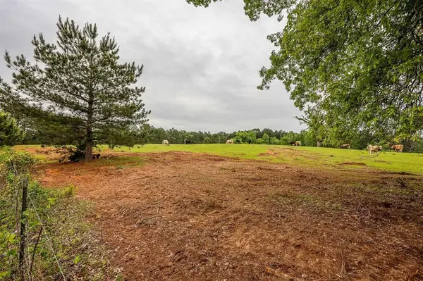 2885 FIRETOWER Road, Hallsville, TX 75650