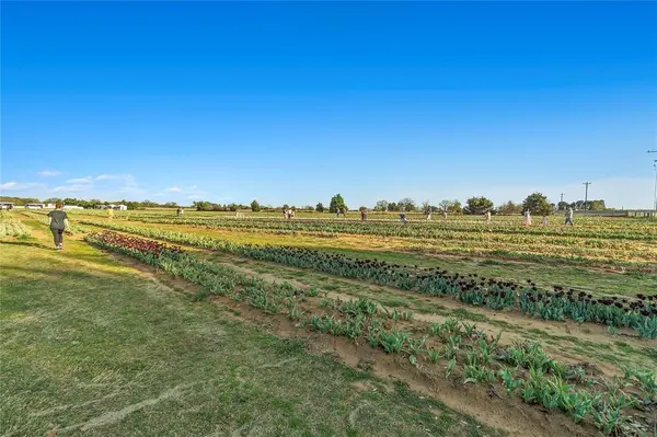 7522 Bent Gale Road, Pilot Point, TX 76258