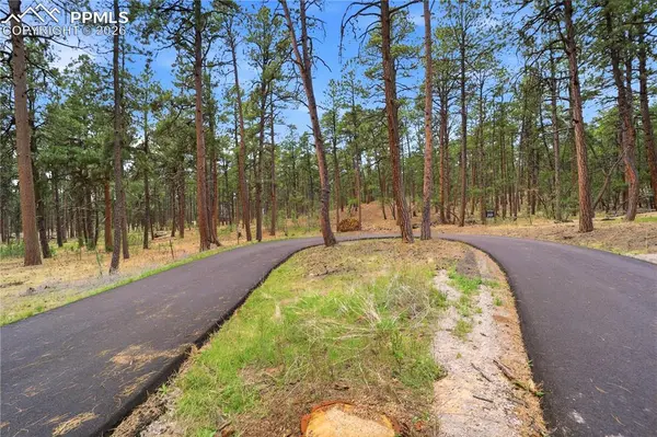 15950 Roller Coaster RD, Colorado Springs, CO 80921