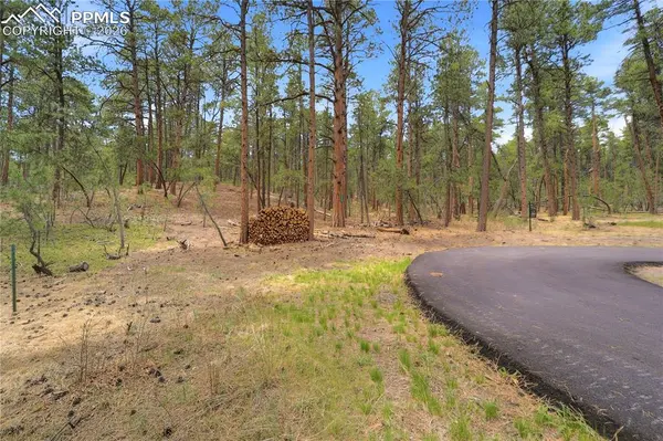 15950 Roller Coaster RD, Colorado Springs, CO 80921