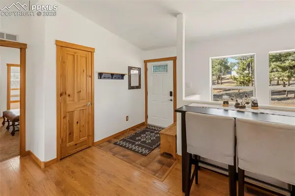 738 Rangeview RD, Divide, CO 80814