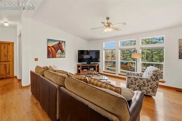 738 Rangeview RD, Divide, CO 80814