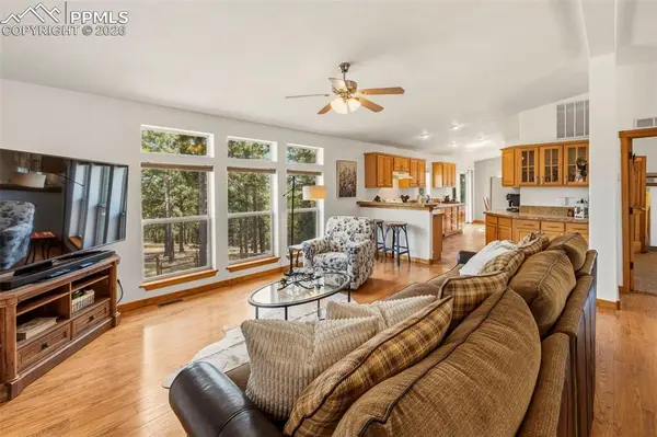 738 Rangeview RD, Divide, CO 80814