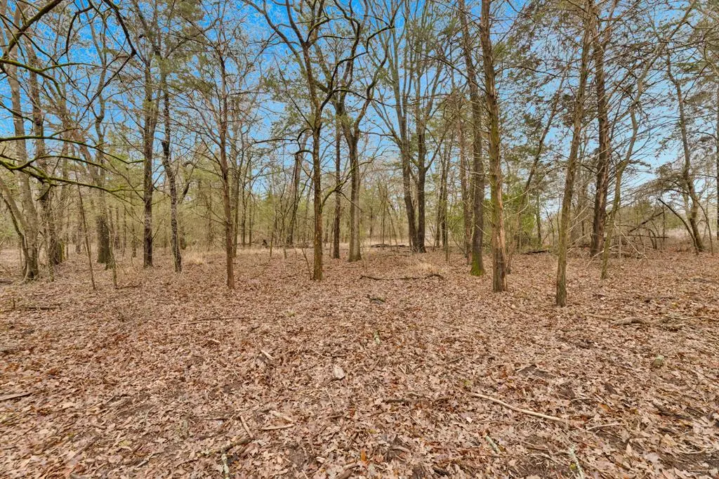 TBD Co Rd 343, Kaufman, TX 75142