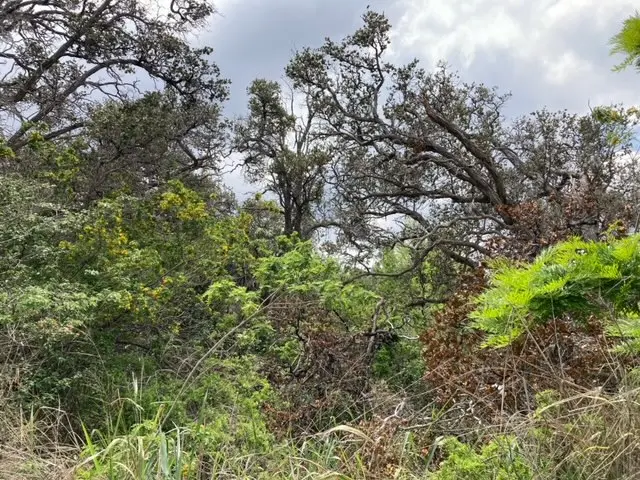 KING KAMEHAMEHA BLVD, Ocean View, HI 96737