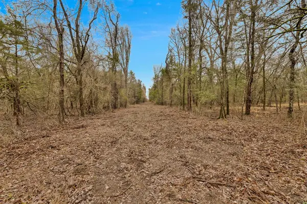 TBD Co Rd 343, Kaufman, TX 75142