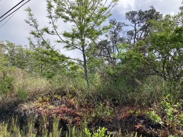 KING KAMEHAMEHA BLVD, Ocean View, HI 96737