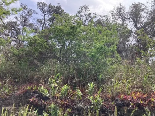 KING KAMEHAMEHA BLVD, Ocean View, HI 96737