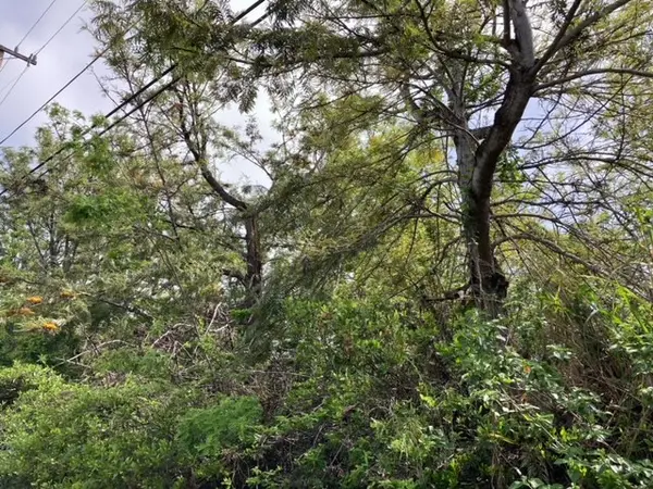 KING KAMEHAMEHA BLVD, Ocean View, HI 96737