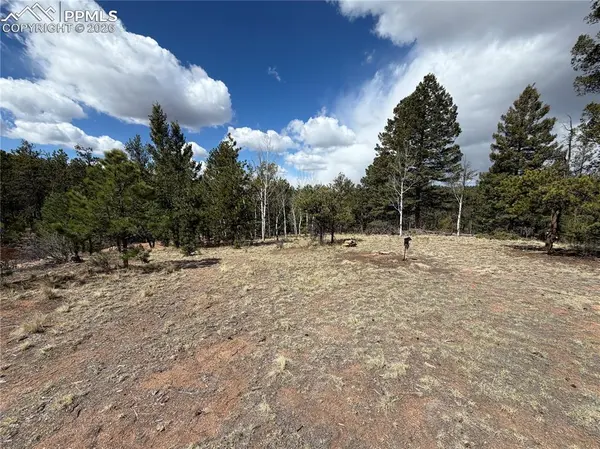 2988 Pikes Peak DR, Florissant, CO 80816