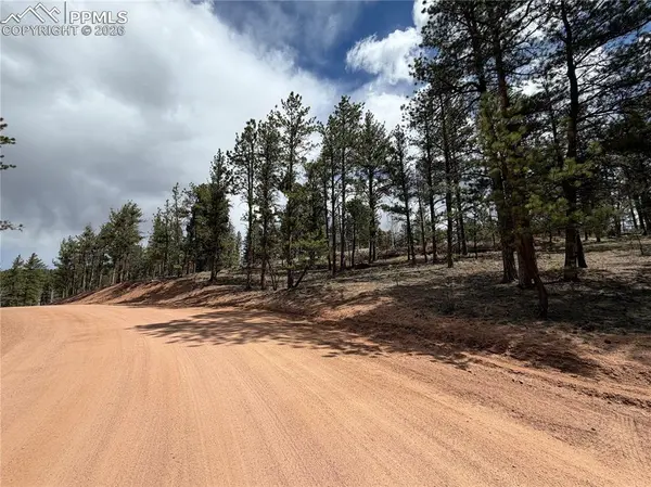 2988 Pikes Peak DR, Florissant, CO 80816