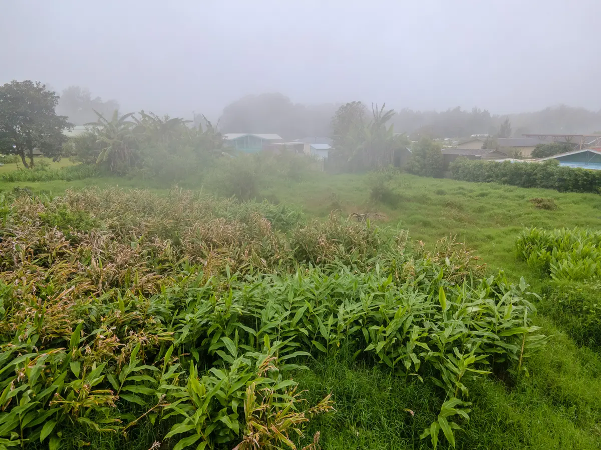 64-5296 NOEKOLO ST, Kamuela, HI 96743