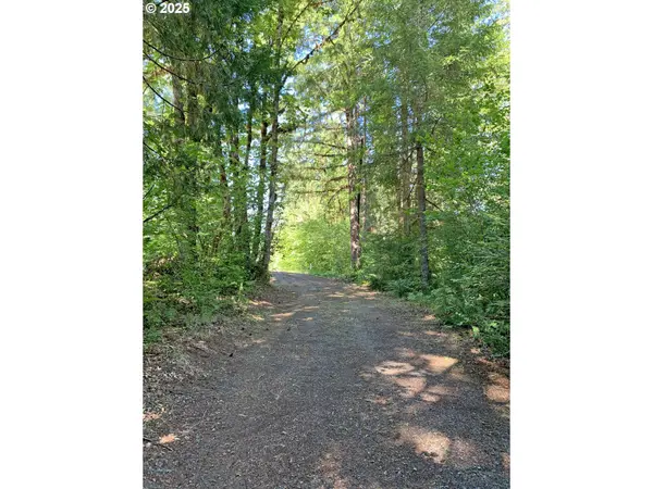 McKenzie River DR #1800, Blue River, OR 97413