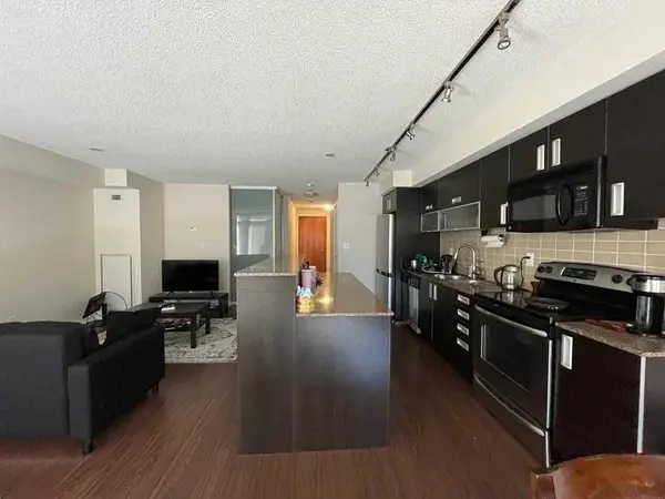 205 Frederick ST #309, Toronto C08, ON M5A 4V3