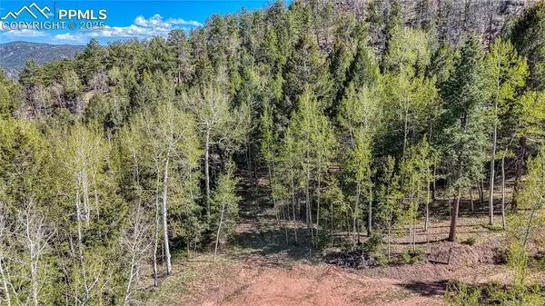 56 Fir LN, Florissant, CO 80816