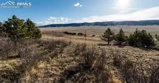 3503 Redhill RD, Florissant, CO 80440
