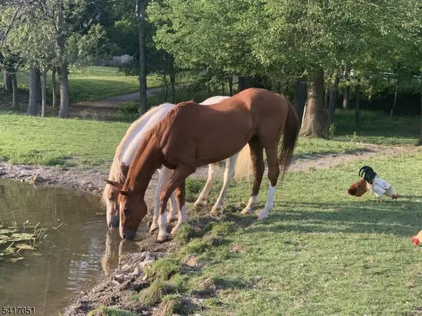 32 Millville Road, Montague Twp., NJ 07827