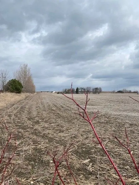 255 & 250 Crago RD, Clarington, ON L1E 0L1