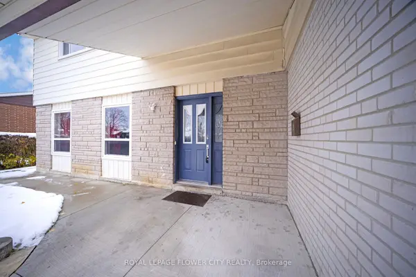 60 Lexington AVE, Toronto W10, ON M9V 2G8