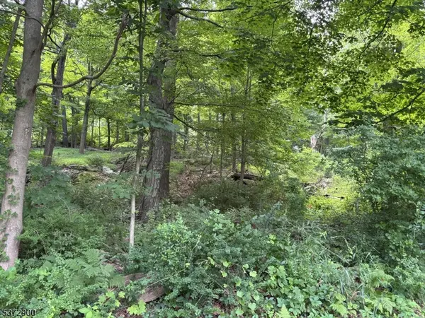 300 Alphano Road, Allamuchy Twp., NJ 07840