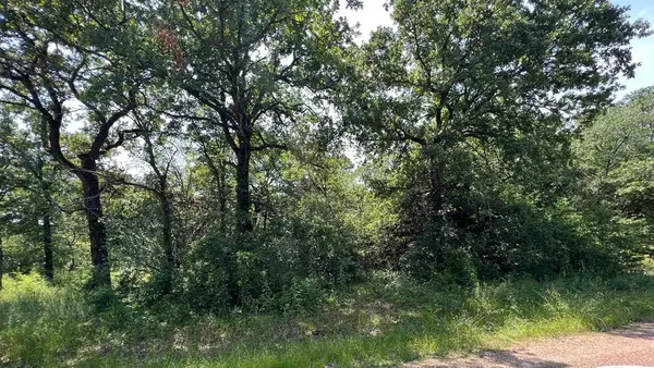 TBD Natchez Trail, Mabank, TX 75156