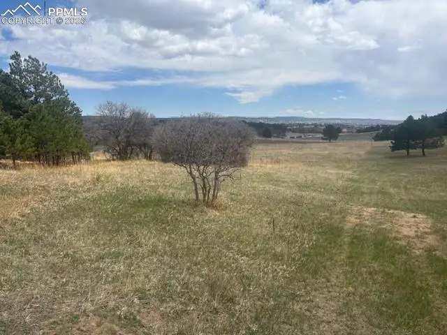 3615 Summertime CT, Monument, CO 80132