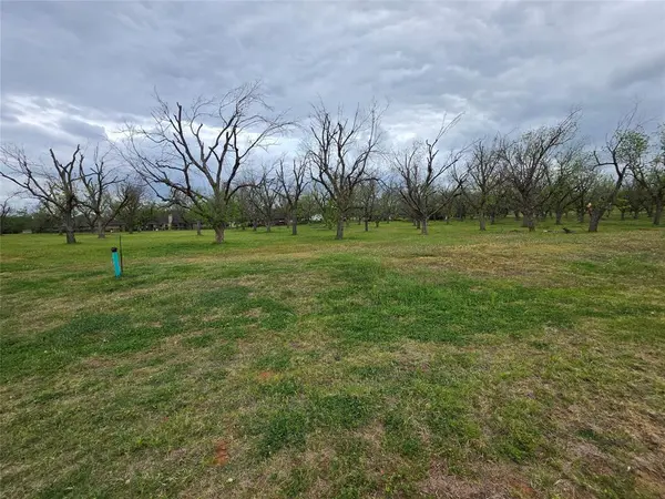 8421 W Landings Road, Granbury, TX 76049