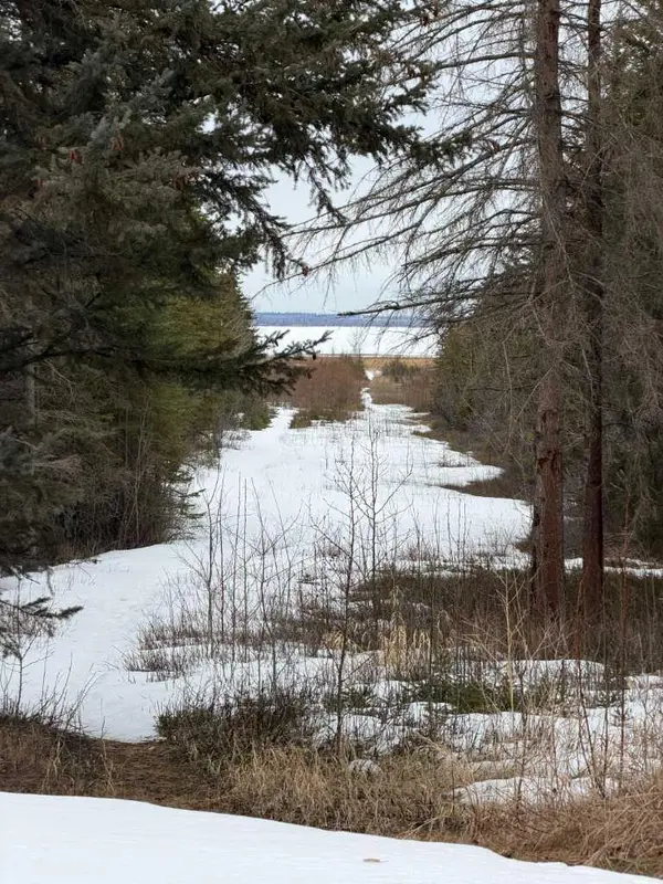 85 OLIVER AVE, Gull Lake, AB T0C 2J0