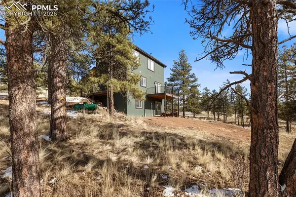 142 Hackamore DR, Florissant, CO 80816