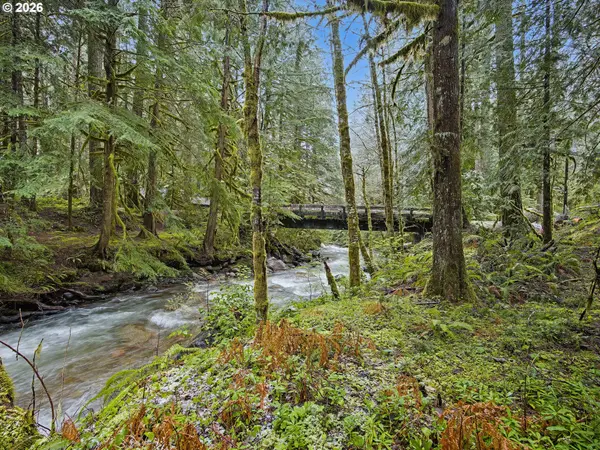 78200 E RD 35A Lot 4, Government Camp, OR 97028