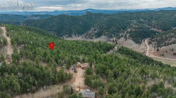 881 Timber Ridge RD, Divide, CO 80814