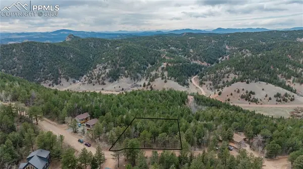 881 Timber Ridge RD, Divide, CO 80814