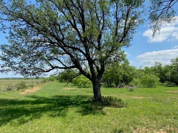 9999 FM 2228, Baird, TX 79504