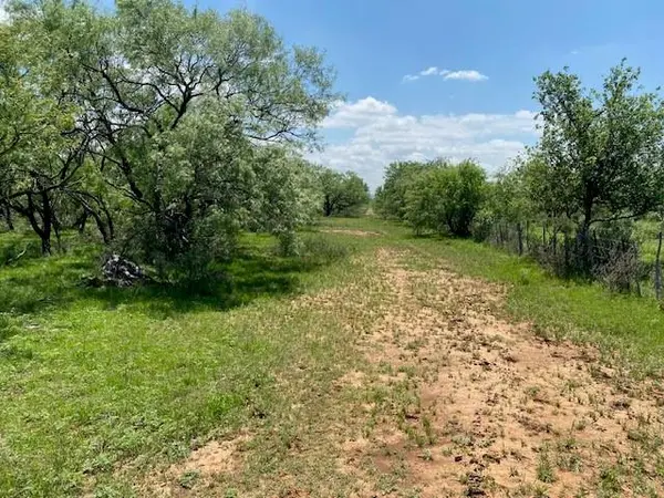 9999 FM 2228, Baird, TX 79504