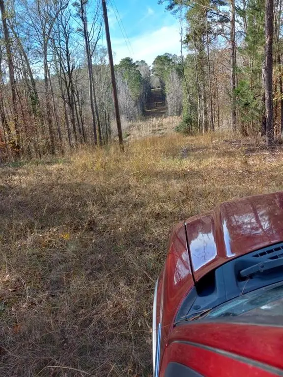 242 Slaughter Road, Homer, LA 71040