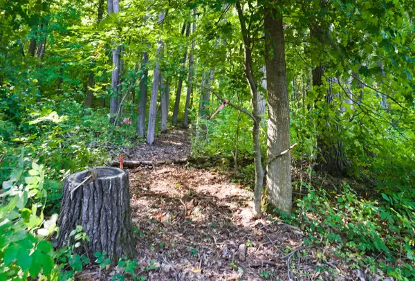 0 Pinewood School RD, Cramahe, ON K0K 1M0