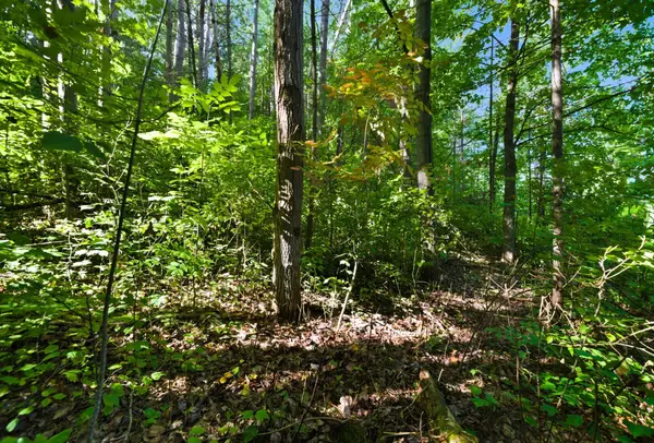 0 Pinewood School RD, Cramahe, ON K0K 1M0