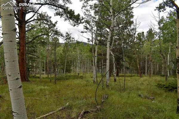 205 Timberline DR, Guffey, CO 80820