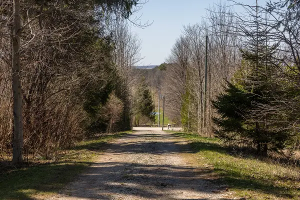 396669 2 Concession, Chatsworth, ON N0H 1R0