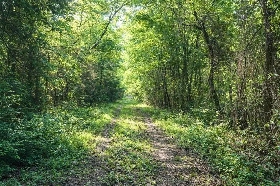 TBD FM 2966, Quitman, TX 75783